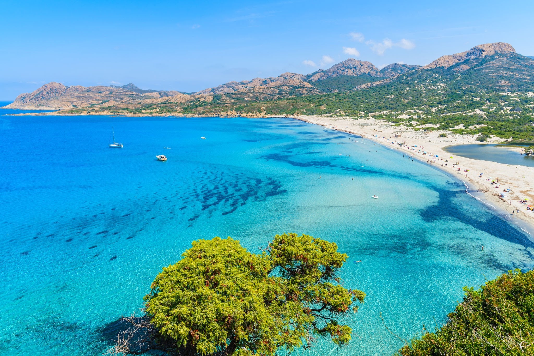 Yacht Charter