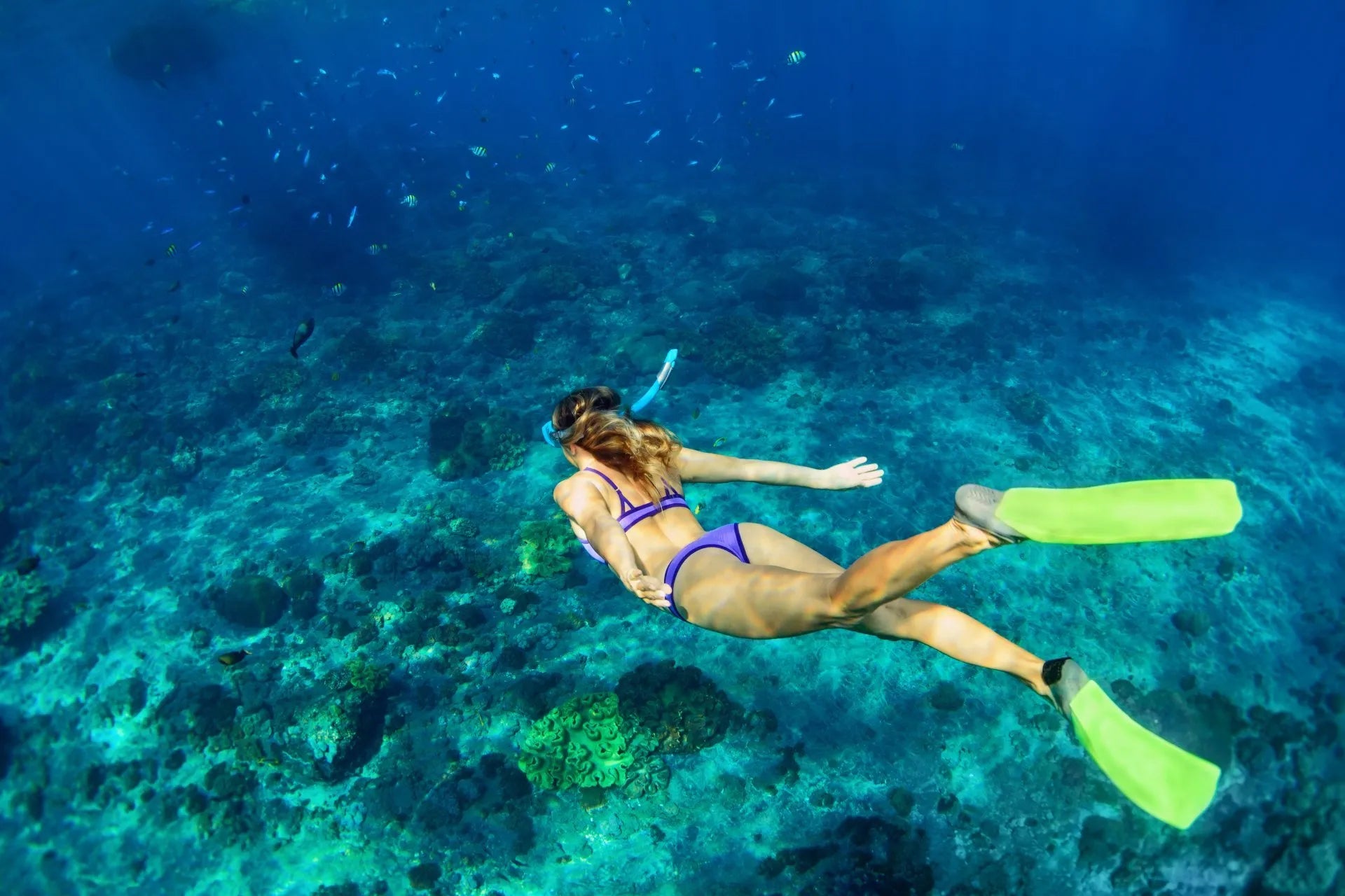 best yacht charter